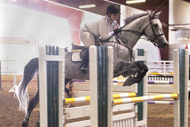 Anwar clearing an oxer beautifully 