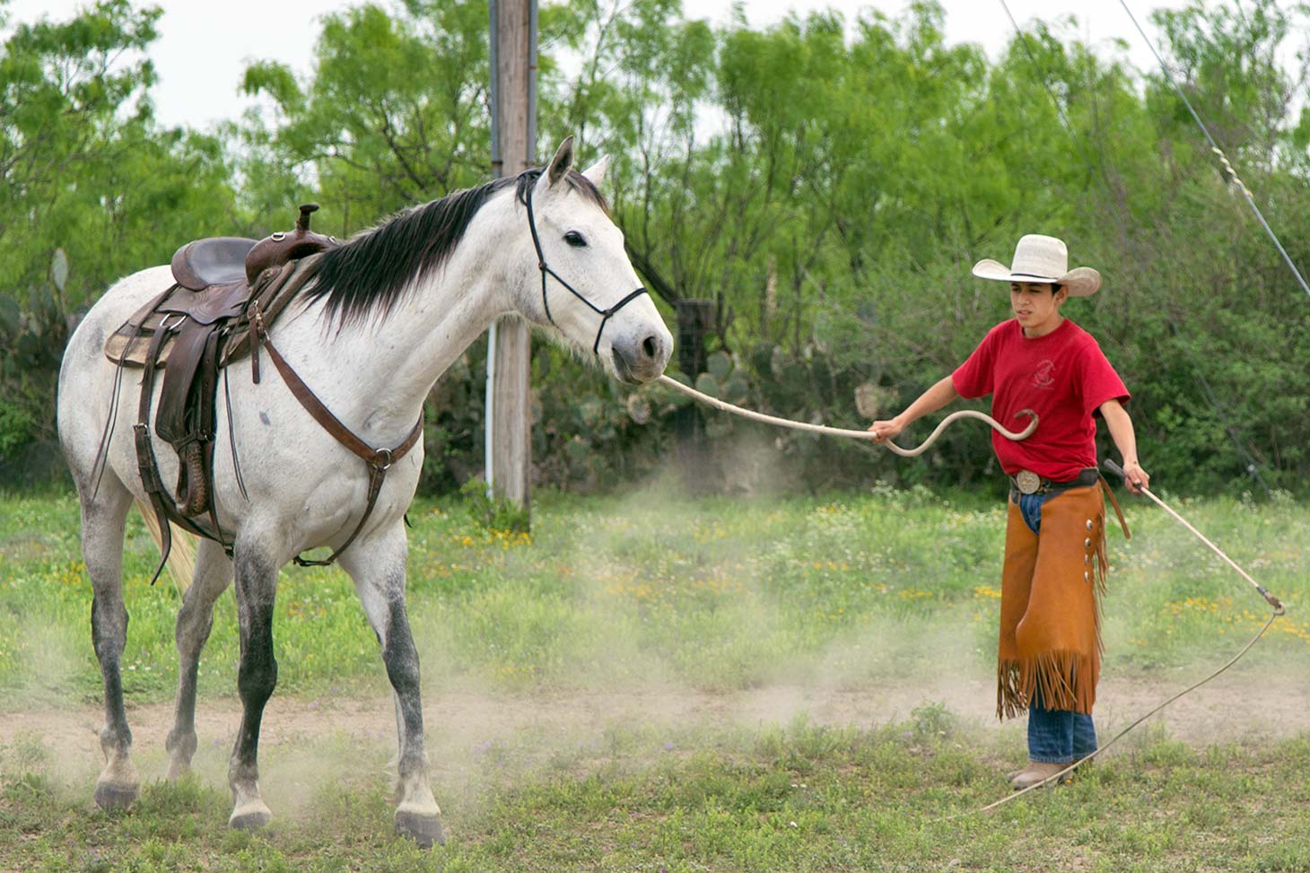 Delphino Jr is following in his brother Reyes' footsteps and is also starting horses for the ranch