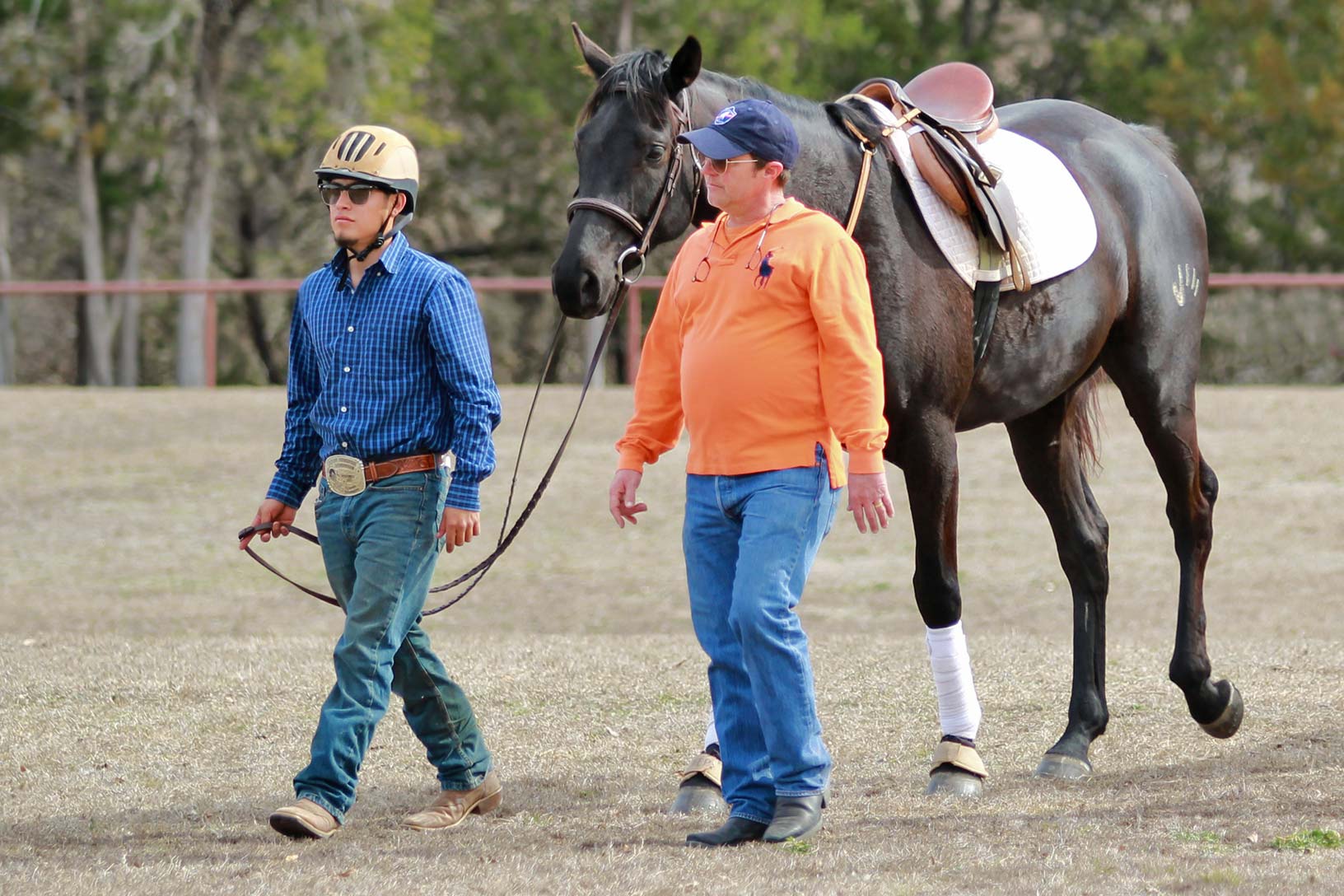 Haven was started at Rusell Equestrian Center and continued his training at Camp Stuart